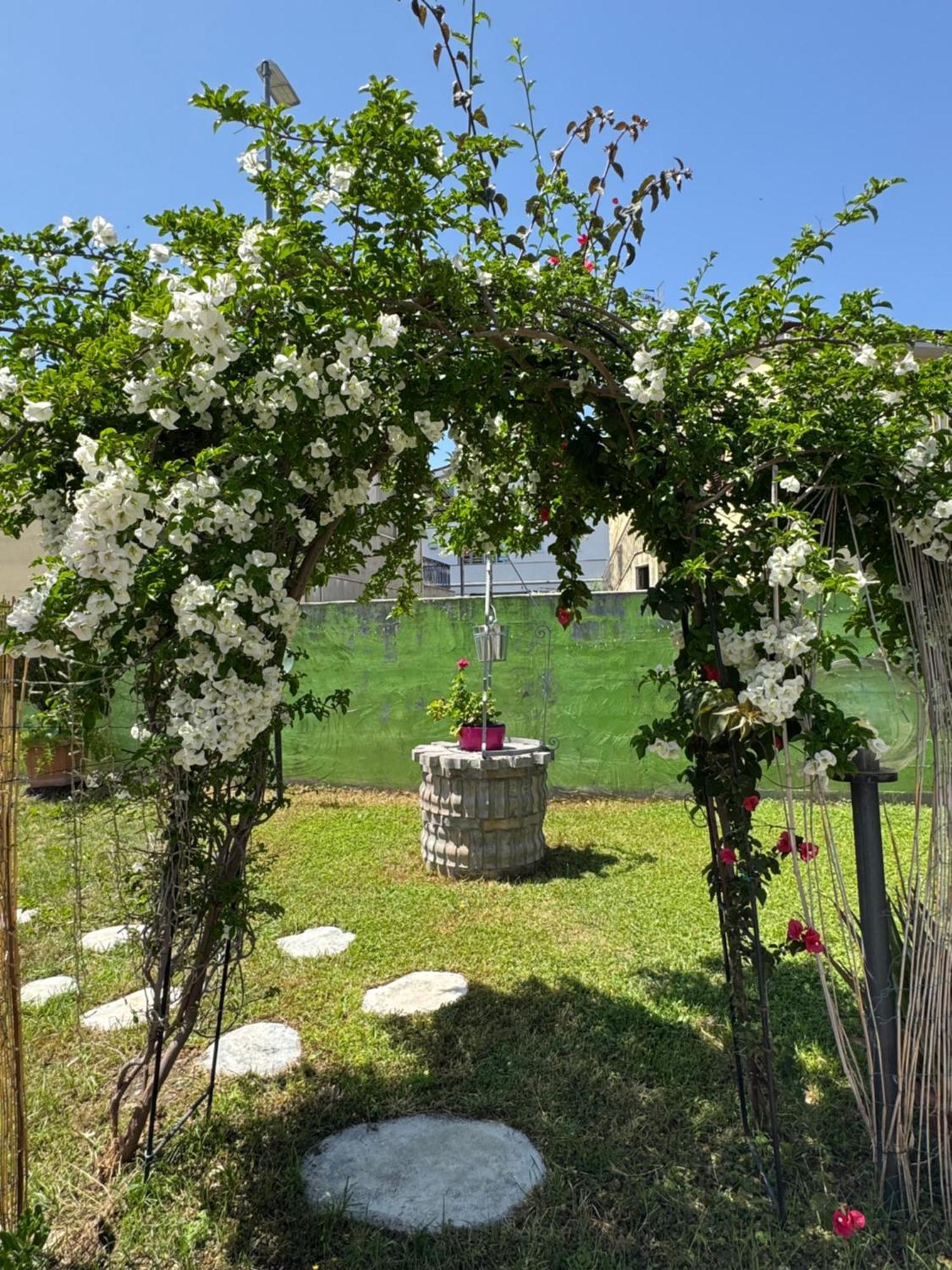 Bed and breakfast Frontepista 3*